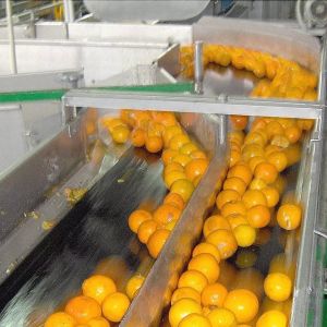 All Automatic Customizable Orange Juice Machine New Juice Processing Machine