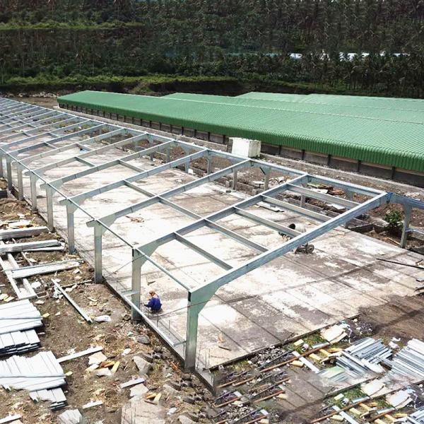 Fully Customizable Chicken House Construction Steel Frame Farm Building ISO Standard