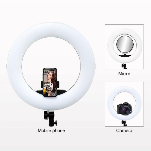 White 18-inch ring lighting with dimmable light, suitable for live broadcast, fill light and photography