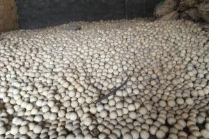 Buy cheap Ultra High Hardness Refractory Balls Non Ferrous Metal Industry 2.3g/Cm3 product