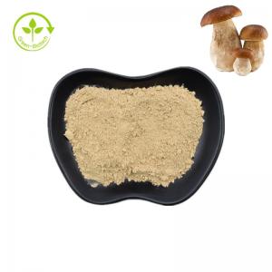 China Natural Penny Bun Porcini Mushroom Extract Pure Boletus Powder  99% on sale