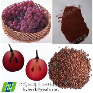 Buy cheap Best Grape Seed Extract OPC 95% product