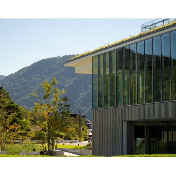 Long-Lasting Wood Plastic Wall Cladding With High Water Resistance Ensuring Effective Protection Against Moisture Damage