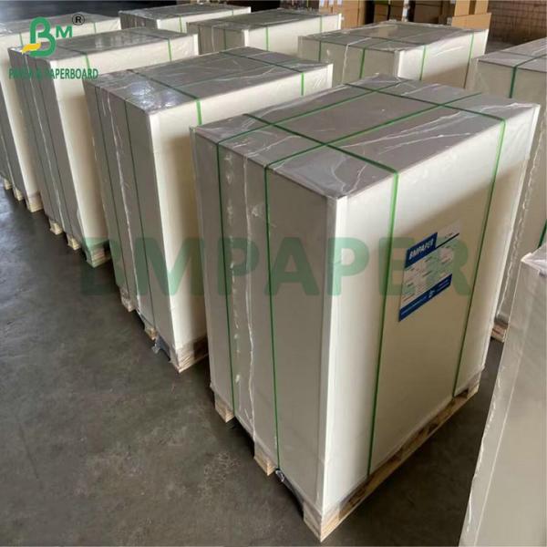 210g Ivory Board C1S One Side White Coated For Packing Box 210g Ivory Board C1S One Side White Coated For Packing Box