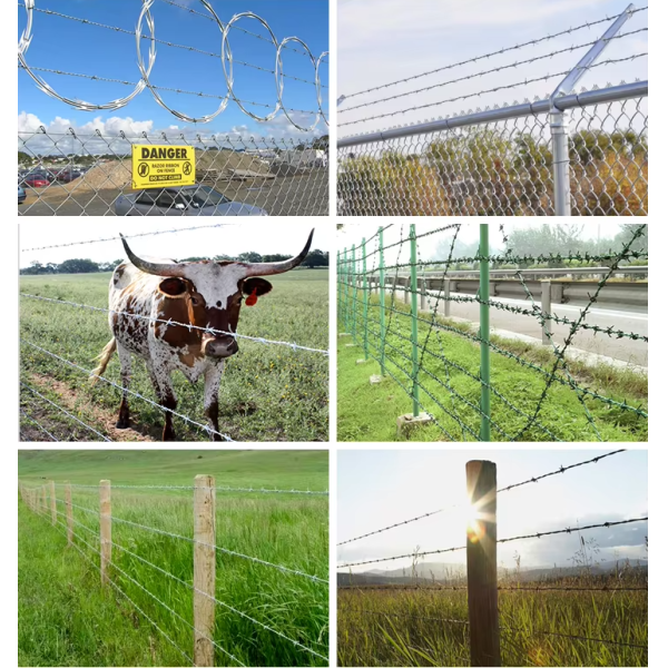14 Gauge Double Twisted Electric Galvanized Barbed Wire for High-Security Border Protection