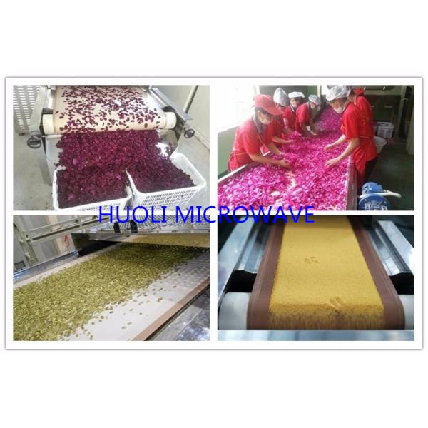 Microwave Flower Drying Equipment
