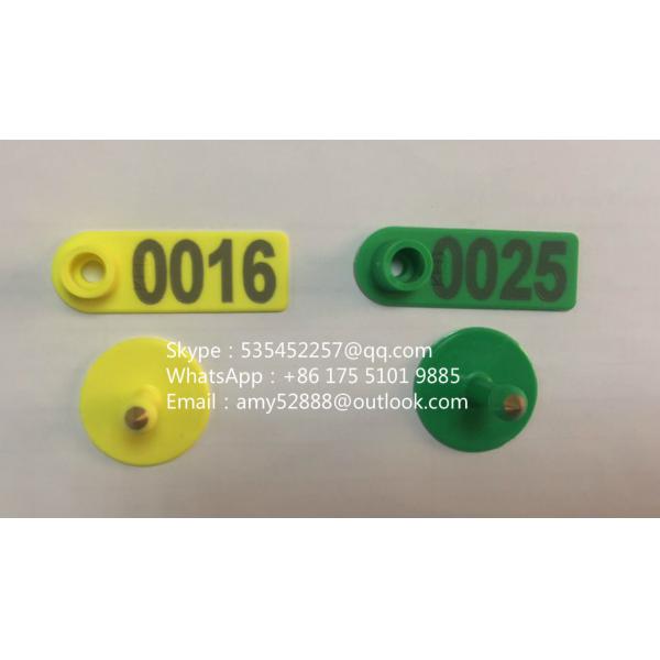 Ear Tag For Sheep/Pig/Cow
