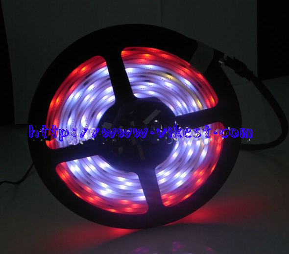 magic digital 6803 dream color led strip rgb