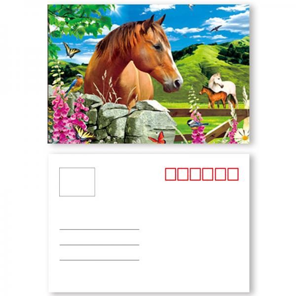 PET 3D Postcard Custom Lenticular Cards With Two Sides CMYK Printing Animation / Flip Effect