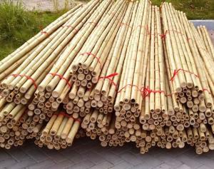 China Garden Furniture Natural  Bamboo Poles Stakes Straight For Garden Plant Length 16cm on sale