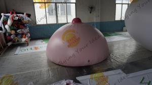 China attractive pink Inflatable Product Replicas for New Year holiday celebrations on sale