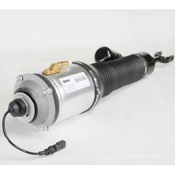 3w0616039d Front Pneumatic Volkswagen Struts For Phaeton Bentley