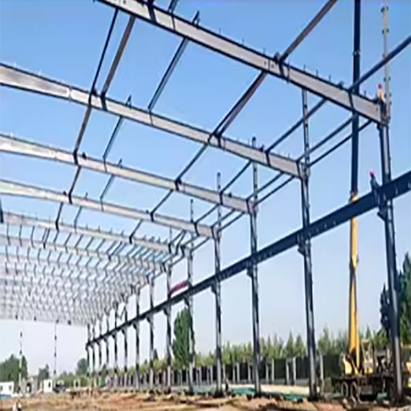 Flexible Steel Structure Poultry House , Large Scale Steel Frame Chicken Coop