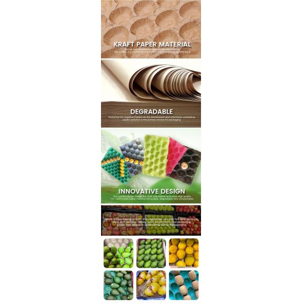 Customized Kraft Paper Moulded Pulp Trays Disposable Fruit Packaging Tray for Apple and Avocado