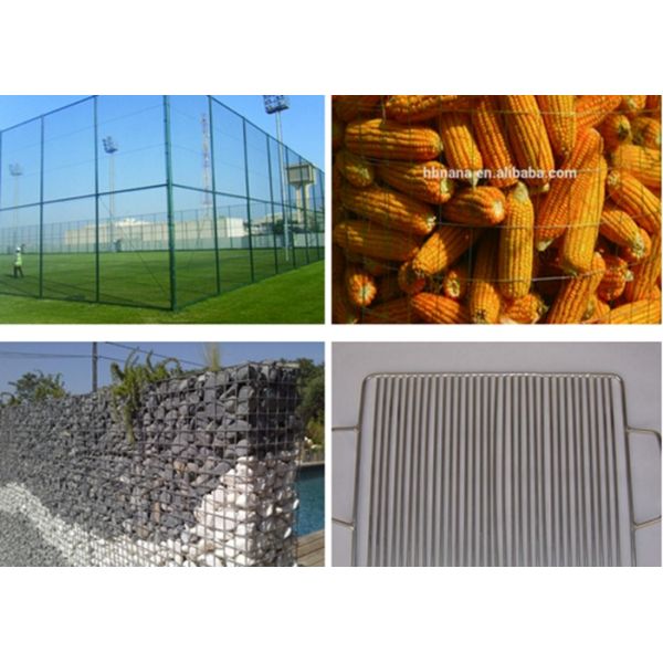 1/2" - 6" Galvanized Welded Wire Mesh Roll For Agriculture Bright Cold Color