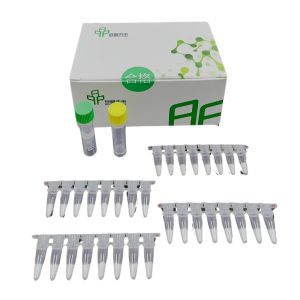 Buy cheap Conveniently Test RNA Isothermal PCR Kit At Home Reagent Buffer product