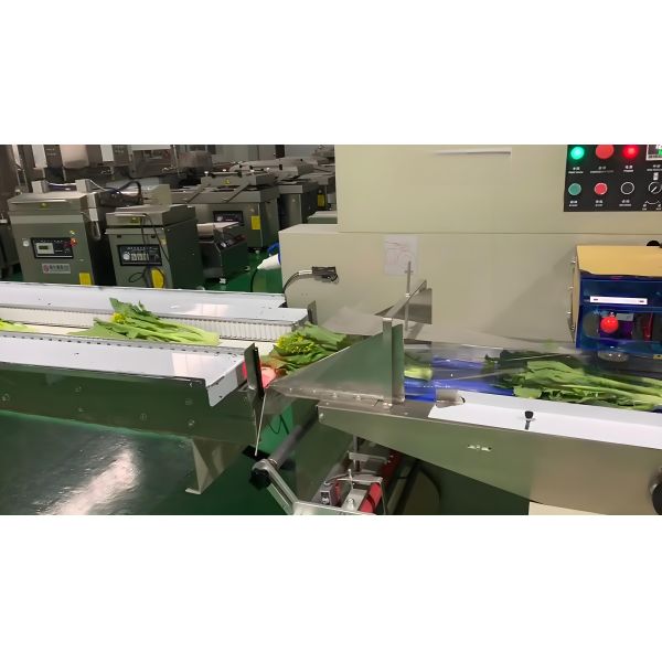 Stainless Steel Pillow Packaging Machine with Vacuum Sealing