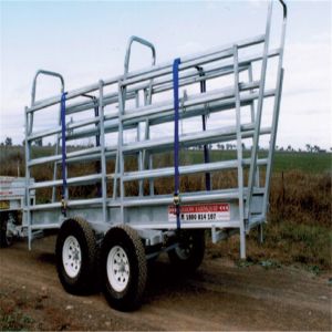 Australian Galvanized Cattle Loading Ramp / Mobile Cattle Loading Ramp Easy