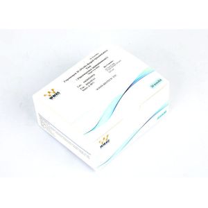 China PG II Pepsinogen II Rapid Quantitative Test High Accuracy Fluorescence Immunoassay on sale