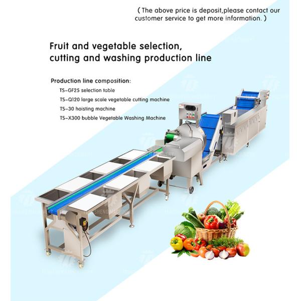 165MM Belt Industrial Vegetable Processing Machine Fruit Selection Washing Cutting Machine