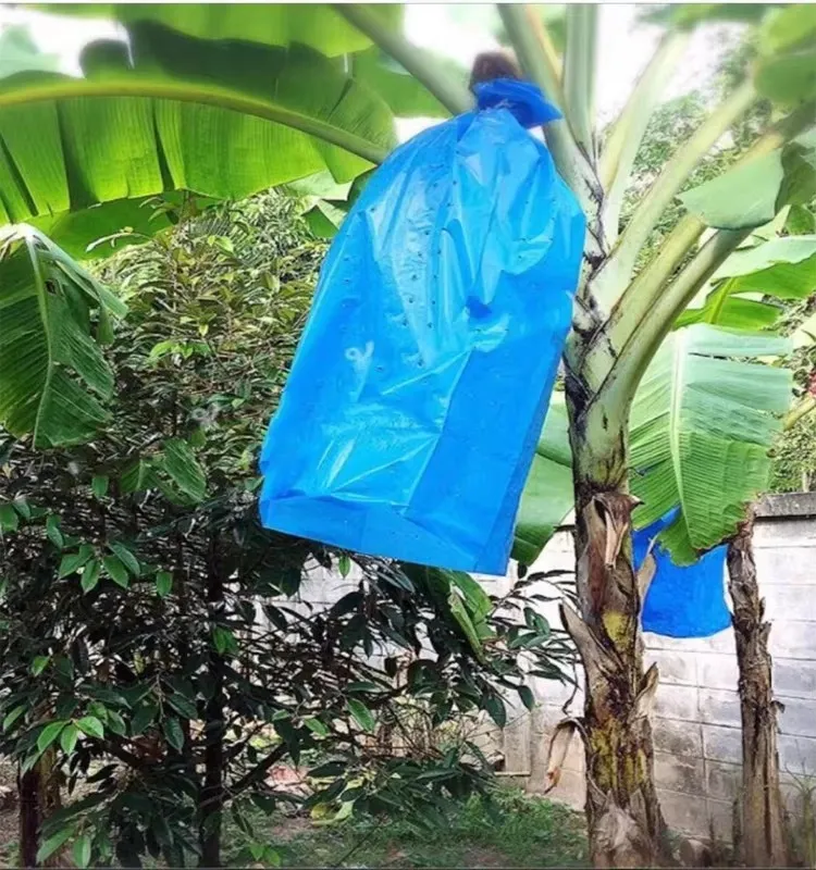 Hot Sale Agricultural Biodegradable HDPE Material Blue Perforated Polyethylene Banana Protection Bag