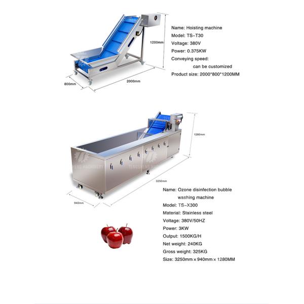 165MM Belt Industrial Vegetable Processing Machine Fruit Selection Washing Cutting Machine