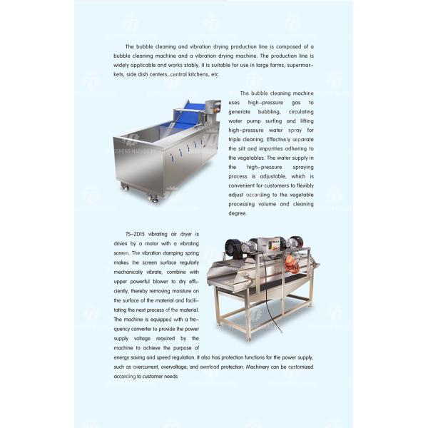 Vegetables and Fruits Bubble Cleaning Vibration Air Drying Machine Production Line