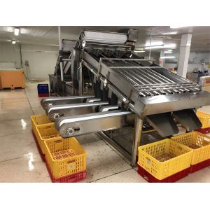 3P Multiscene Shrimp Grading Machine Automatic Multi Function