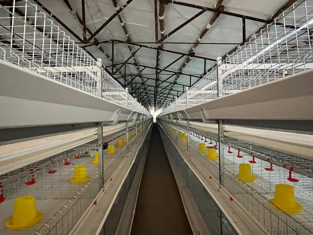 Customer project installation 5
