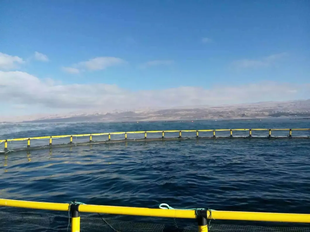 HDPE Round Fish Farming Cage 10m-50m Diameter 200mm-400mm Pipe
