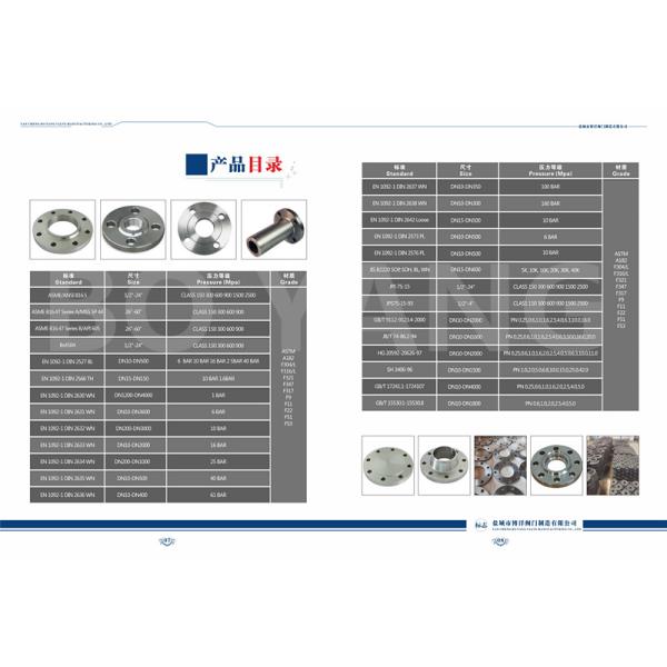 Stainless steel socket welded flange