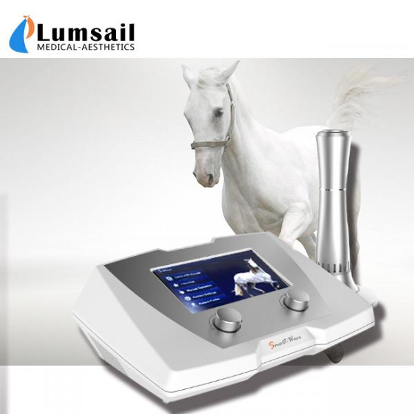 Quality Acoustic Equine Animal Pain Treatment Shockwave Therapy System 1-22Hz trigger point therapy for sale