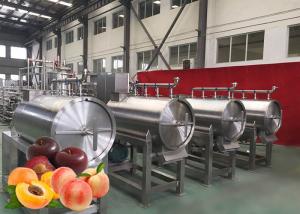 China Modular Design Peach Processing Plant High Productivity 12 Months Warranty on sale