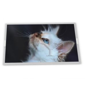 Buy cheap WG240128B-TMI-TZ 240*128 Lcd Display Modules product