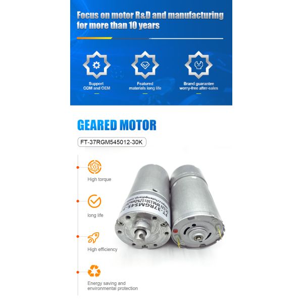 Customized FT-37RGM545 DC 3-24V High Torque Gear Motor for Coffee Machine