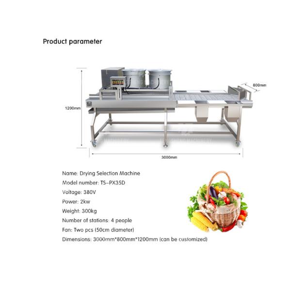 Industrial Cassava Tomato Vegetable Processing Machine Drying And Selection