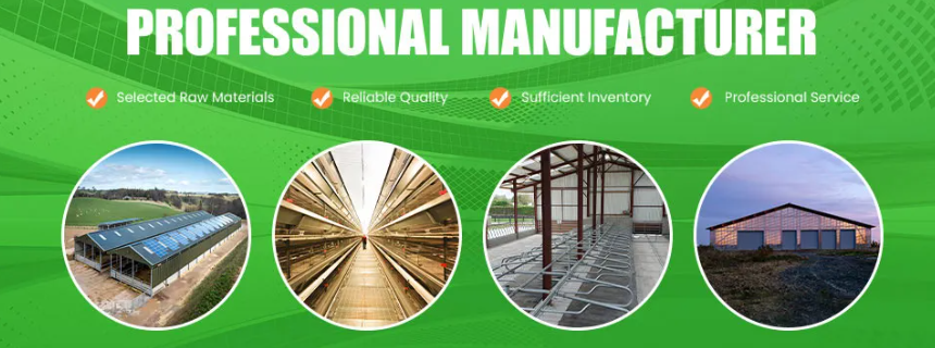 Premium chicken coop structure overview
