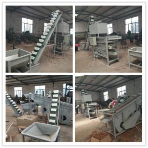 Buy cheap walnut cracker, walnut sheller, walnut processing machines product