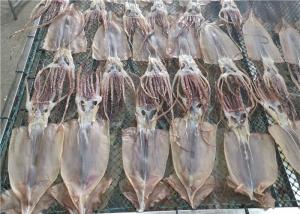 Buy cheap 100% Natural Dried Illex Squid Whole Round 85g Fresh Frozen Squid product
