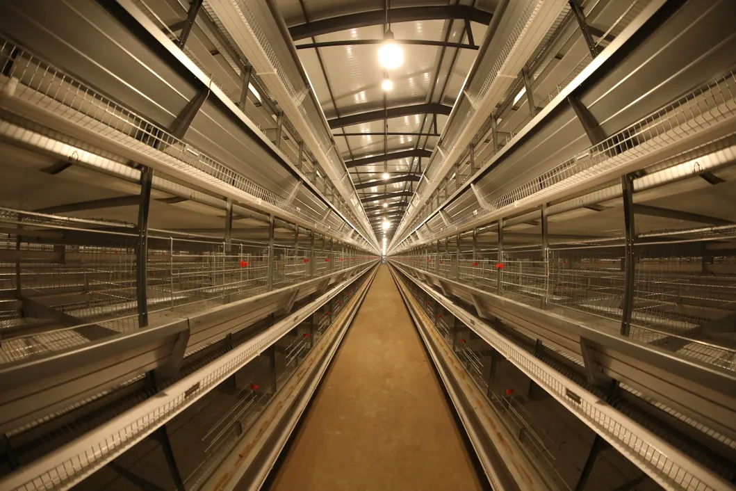 Real Time Poultry Farm Chicken House Environmental Controller Energy Efficient