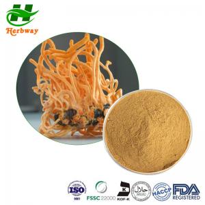 Buy cheap Cordyceps Militaris Extract Powder Polysaccharide Adenosine Cordycepin 0.3%-10% product
