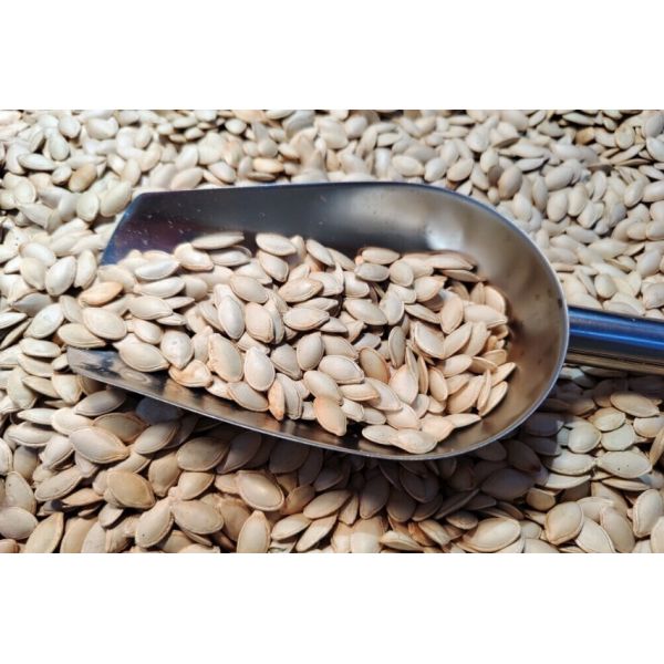 H Intelligent RGB Optical Sorting Machine Is A Cost-efficient Pre-sorting Solution For Pumpkin Seeds It Focuses On Visible Defect Recognition,