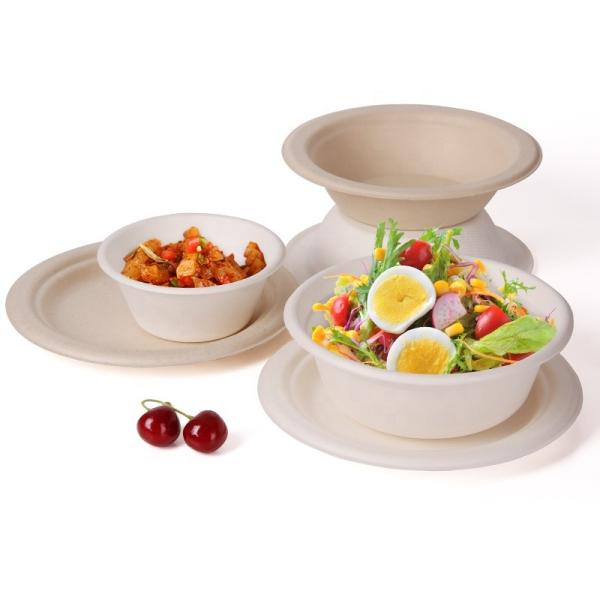 Sugarcane Bagasse Food Packaging Lunch Boxes Biodegradable Eco Friendly