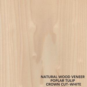 Buy cheap Tulip American Natural Poplar Wood Veneer Flat Cut Crown White For Doors product