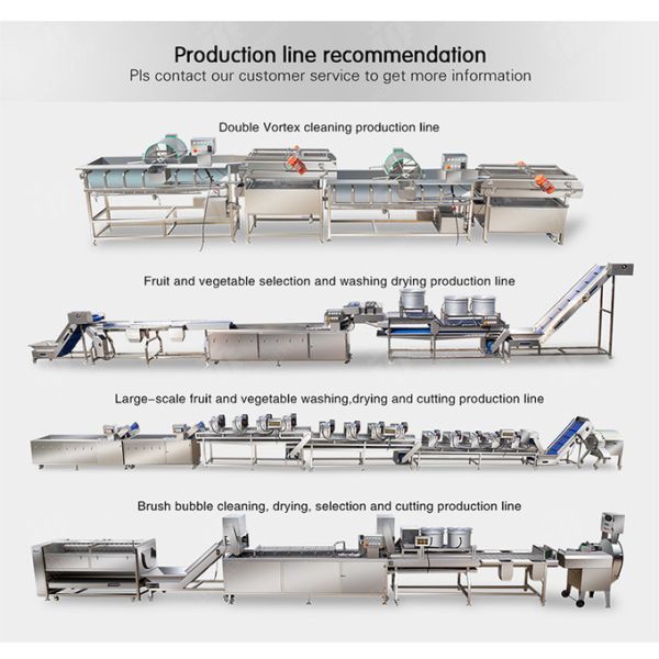 2.2KW Garlic Processing Machine Skin Removing Garlic Peeler