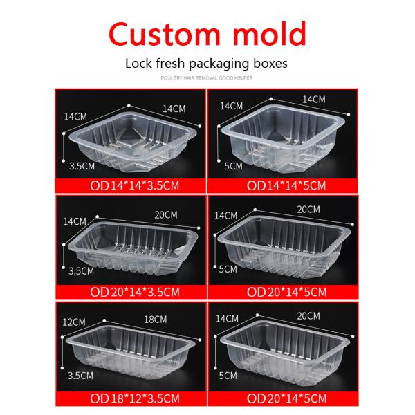 Stainless steel large commercial Box Sealer 2 Cups Sealing Machine Tape Fully Automatic Box Strapping Machine