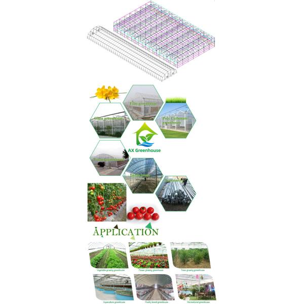 Hydroponic Tropical Area Polytunnel Greenhouse With Climate Control