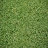 Artificial Grass carpet Waterproof Sports Flooring Golf Grass for sale