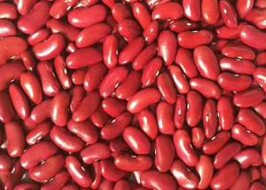 China Red Kidney Beans Exported To Yemen on sale