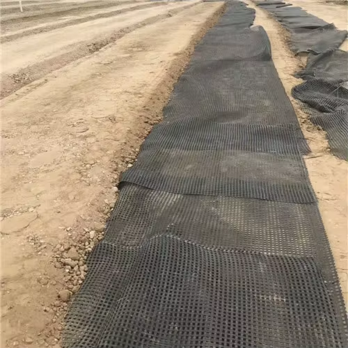UX BX Reinforce Polyester Mesh Geogrid Stabilizing Foundation Slope Road Construction